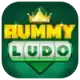 RUMMY LUDO logo