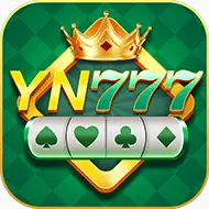 YN 777 logo